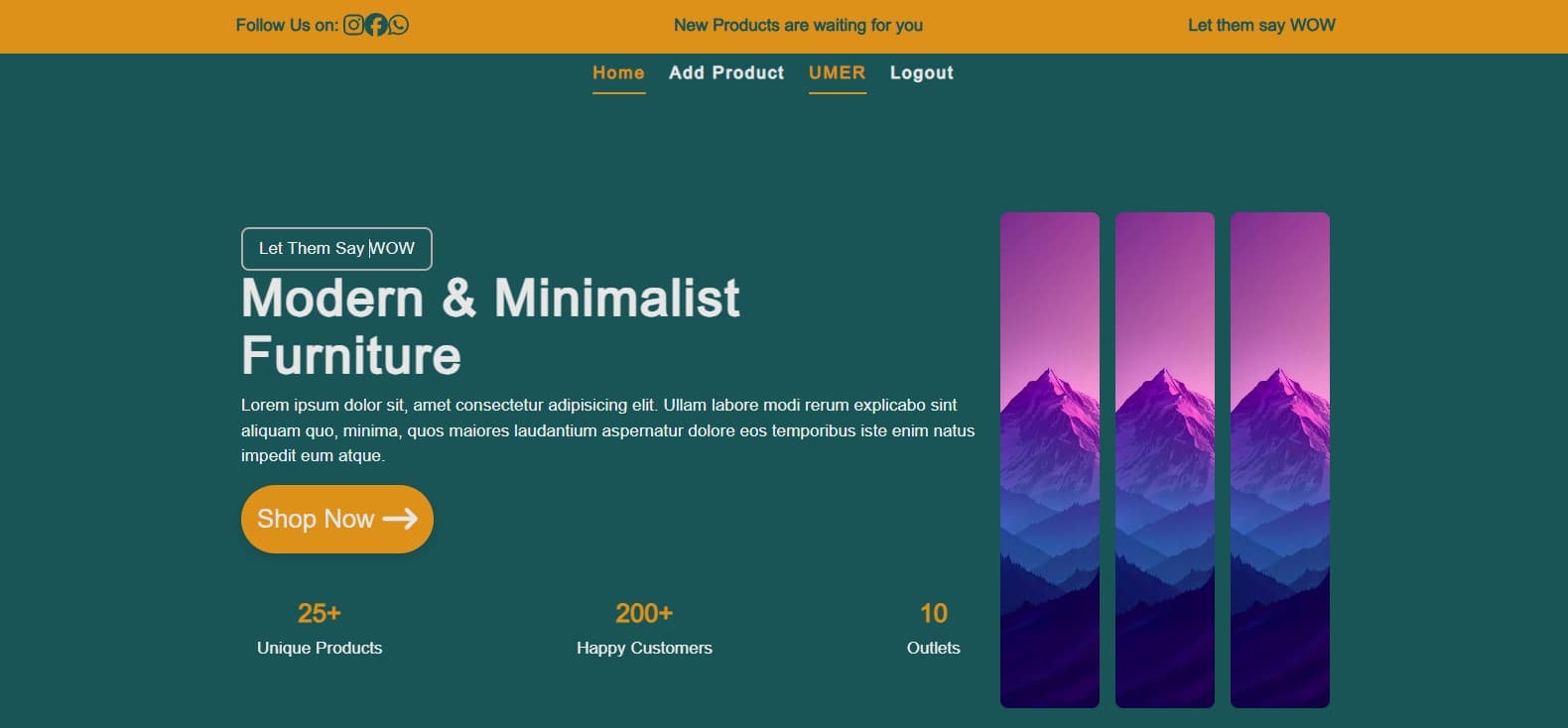Ecommerce